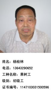 河北富岗的科技坚守与责任传承 李保国128科技服务小分队的社会回响